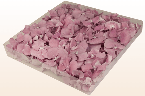 1 liters förpackning