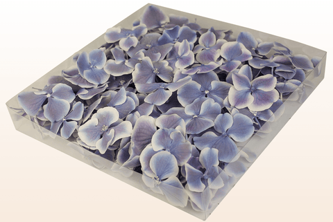 1 liters förpackning