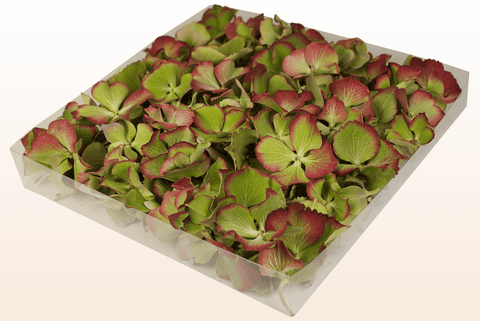 1 liters förpackning