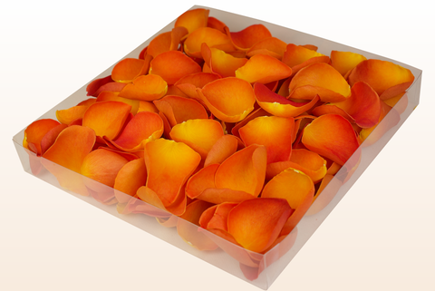 1 liters förpackning