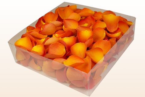 2 liters förpackning